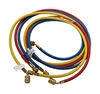 72in Standard Hose Quick Seal Hose Set - image 1