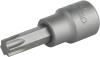 Standard T50 Torx Bit Socket [3/8 in. Square Drive] - image 1