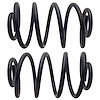 Rear Coil Spring Set [Rear] for 2002-2006 Jeep Wrangler TJ - image 1