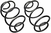 Coil Spring Rear - image 1