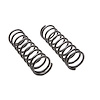 Coil Spring Rear - image 1