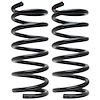 Coil Spring - image 1