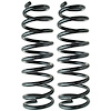 Coil Spring - image 1