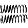 Coil Spring - image 1