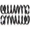 Coil Spring - image 1