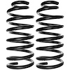 Coil Spring - image 1