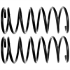 Coil Spring - image 1