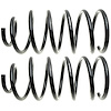 Coil Spring - image 1