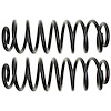Coil Spring - image 1