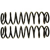 Coil Spring Set - image 1