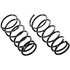 Rear Coil Springs 2007-2010  Nissan Armada - image 1