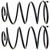 Coil Spring - image 1