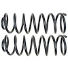 81097 OE Replacement Rear Coil Springs - image 1