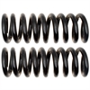 Coil Spring - image 1