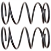 Coil Spring Set - image 1