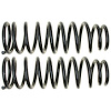 Coil Spring Set - image 1