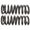 Coil Spring Set - image 1