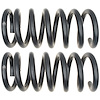 Front Coil Springs - image 1
