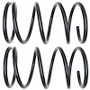 Coil Spring - image 1