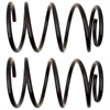 Coil Spring - image 1