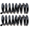Coil Spring Set - image 1