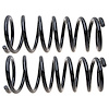 Coil Spring Set - image 1