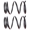 Coil Spring Set - image 1