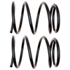 Front Coil Springs - image 1