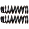 Coil Spring Set - image 1