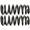 Coil Spring Set - image 1