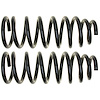 Coil Spring Set - image 1