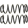 Coil Spring Set - image 1