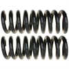 Coil Spring Set - image 1