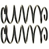 Coil Spring Set - image 1