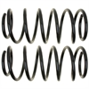 Coil Spring Set - image 1