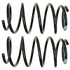 Coil Spring Set - image 1