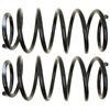 Coil Spring Set - image 1