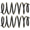 Coil Spring Set - image 1
