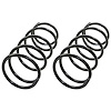 Coil Springs - image 1