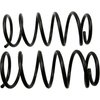 Coil Springs - image 2