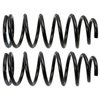 Coil Springs - image 2