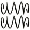 Coil Springs - image 2