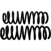 Coil Springs - image 2