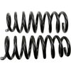Coil Springs - image 2