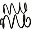Coil Springs - image 2