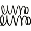Coil Springs - image 2