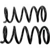 Coil Springs - image 2