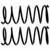 Coil Spring - image 1