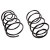 Coil Springs Variable Rate Front - image 2