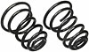 Coil Springs Variable Rate Rear - image 1